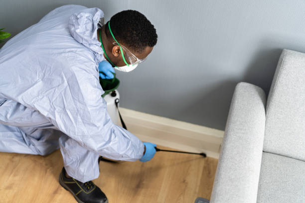 Best Bed Bug Extermination  in Oakland, NJ